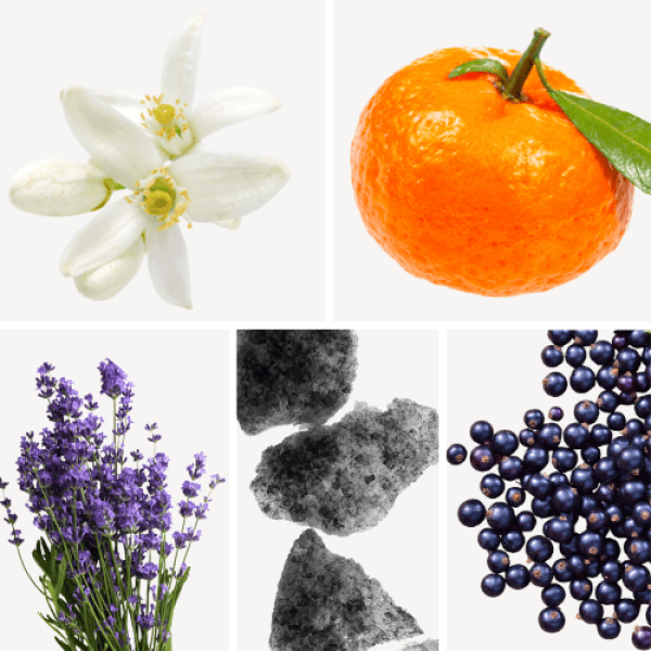 Duftnoten: Orangenblüten, Mandarine, Lavendel, Moschus, schwarze Johannisbeere